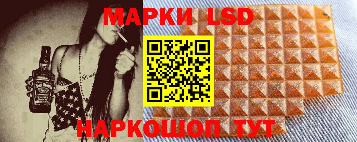 Галлюциногенные грибы Вольск