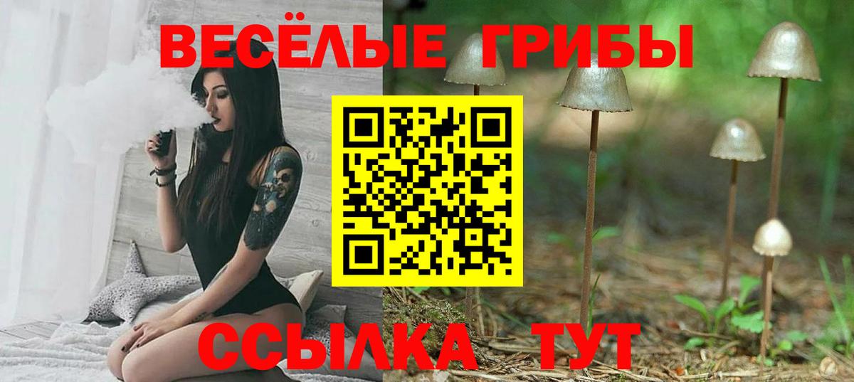 Псилоцибиновые грибы GOLDEN TEACHER  Галлюциногенные грибы прущие грибы  Вольск  Вход с VPN 