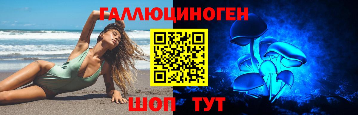 Псилоцибиновые грибы GOLDEN TEACHER Вольск